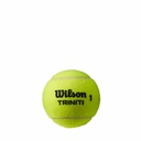 WILSON TRINITY